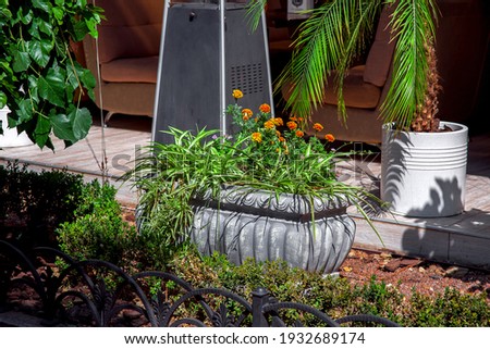 landscape design of a flower bed with a stone flower pot and flowers in the backyard of the cottage, an eco-friendly patio with plants, nobody.