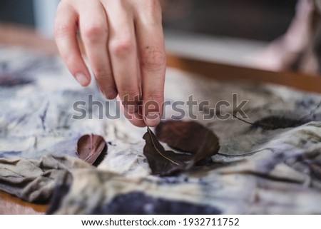 Eco print process. Female hand holding a leaf after unrolling a bundle of fabric or cloth naturally dyed