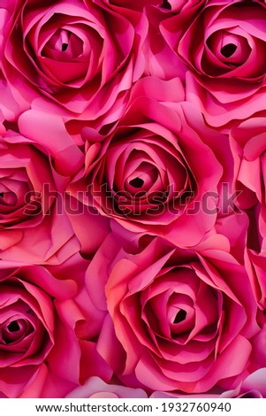 Rose is one of the most famous and beloved of all flowers. Rose is a symbol of love and passion.