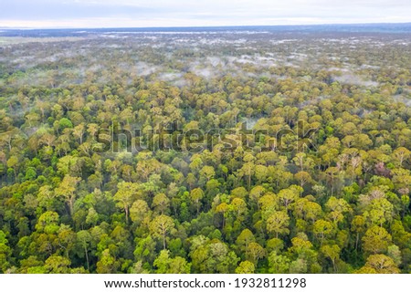 Aerial view of the Borneo rainforest at Klias Forest Reserve, Beaufort Sabah.