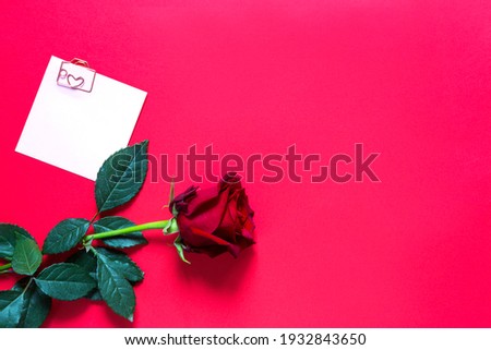 Red rose on red background with copyspace and sticker with a paper clip and heart, a reminder on a note sheet. A gift for a woman on a holiday, an invitation to a date, Valentine's Day, a sign of love