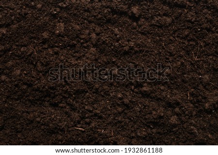 Black land for plant background. Top view.  Royalty-Free Stock Photo #1932861188