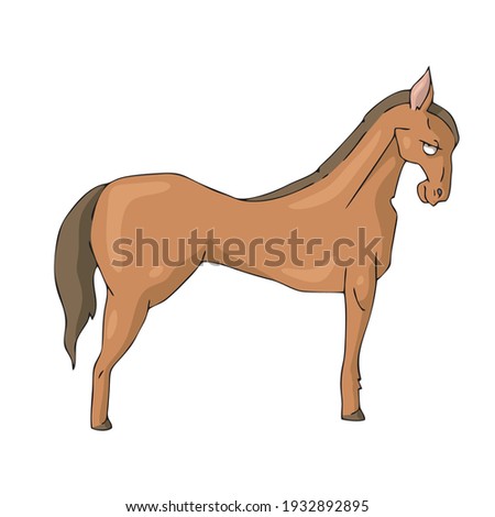 Horse on white background Cute Cartoon Vector illustration