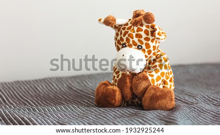 Children's soft plush toy giraffe sit on grey background