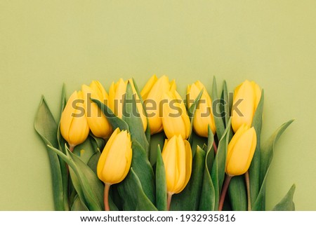 Yellow tulips on a green background. Spring flowers. Tulips from Holland. Sell tulips. Spring mood	 Royalty-Free Stock Photo #1932935816