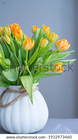 White vase with a large bouquet of peach tulips on a gray background