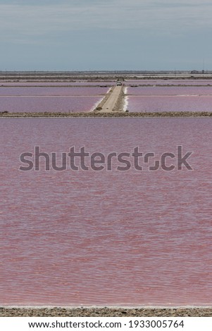 Saltwork in the salt fields in the camargue, the rhone delta in France, Europe
