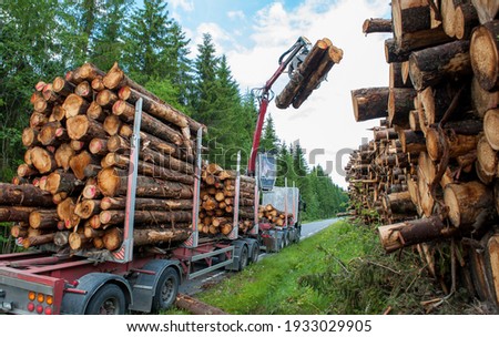 Bio mass timber harvesting in Norway Royalty-Free Stock Photo #1933029905