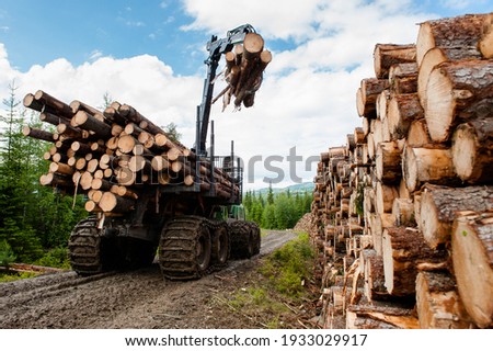 Bio mass timber harvesting in Norway Royalty-Free Stock Photo #1933029917