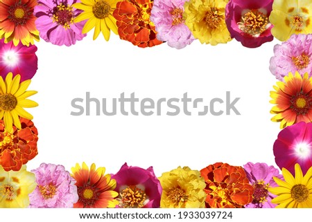flowers frame isolated on a white background
