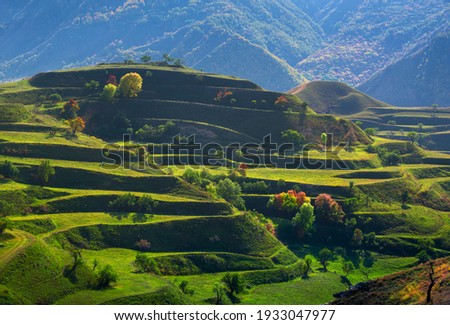 Man-made terraces of the village Chokh. Republic of Dagestan, Russia. Royalty-Free Stock Photo #1933047977