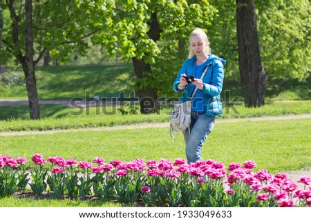 woman photographs a flower bed with spring blooming tulips.

