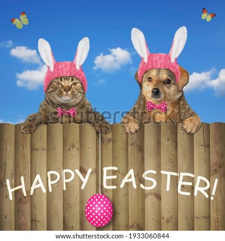 A beige cat with a dog in pink easter bunny ears are sitting on a wooden fence. White background. Isolated.