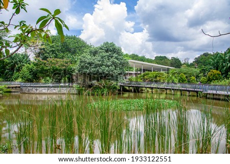 The pond and tourist visit center in Sungei Buloh wetland reserve Singapore. 
A nature reserve in the northwest area of Singapore, its global importance as a stop-over point for migratory birds. 