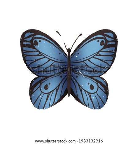 vintage hand drawing butterfly. Scandinavian inspired illustration. Hand drawn clipart isolated on white background.
