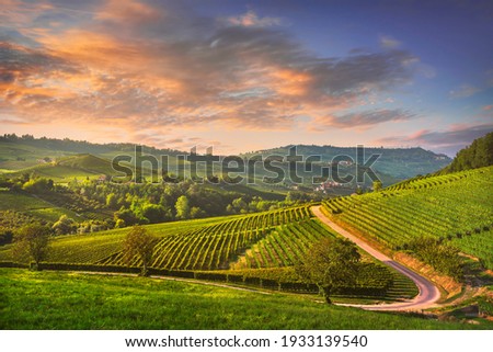 Langhe vineyards sunset panorama, Barolo and La Morra, Unesco Site, Piedmont, Northern Italy Europe. Royalty-Free Stock Photo #1933139540
