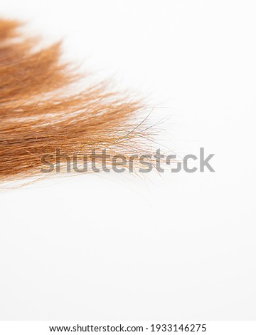 Conics of female hair on a white background. Color dark brown hair. Top view. Close-up.