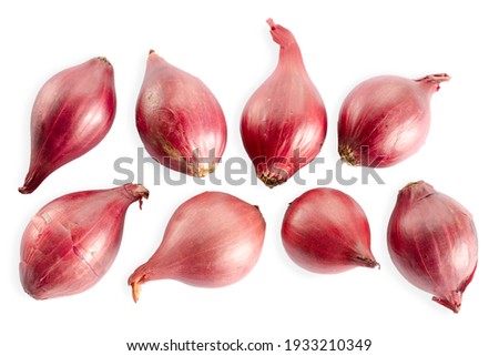 Seamless background with red onions, top view. Red onion on a white background. Set of red onion Isolated on white background, top view. Fresh red onion isolated on white background, top view.