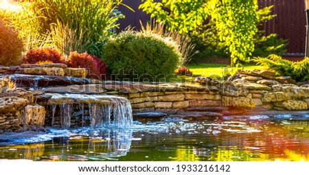 beautiful landscaping with beautiful plants and flowers Royalty-Free Stock Photo #1933216142