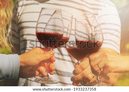 Family of different ages people cheerfully celebrate outdoors with glasses of red wine, proclaim toast People having dinner in a home garden in summer sunlight.