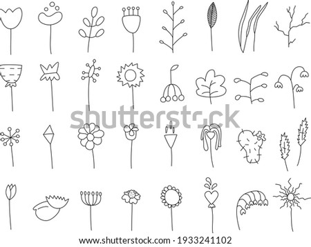 Set of 32 different hand drawn floral botanical elements for design