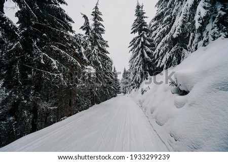 Mountaineer backcountry ski waling two ski alpinist in the mountains. Ski touring in alpine landscape with snowy trees. Adventure winter sport.