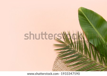 Summer background with palm leaves on pink
