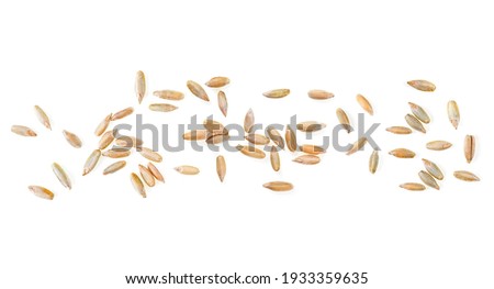 Organic rye grains isolated on a white background, top view. Healthy grains and cereals. Raw rye grains. Royalty-Free Stock Photo #1933359635