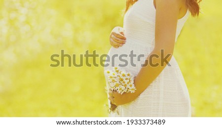 Close up of pregnant woman with chamomiles flowers on a summer sunny background