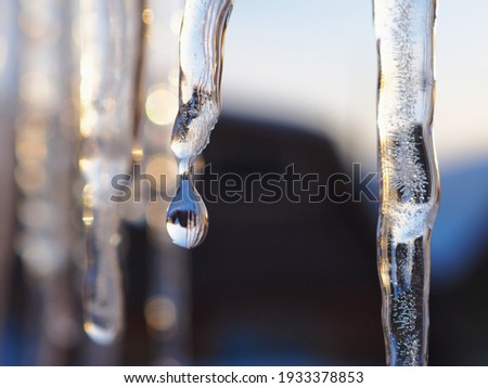 Icicles and a drop of meltwater in a rustic landscape in the sunset rays is a very close-up. Thaw and snow melting. The beginning of spring and the warm season, the end of winter. Strong macro Royalty-Free Stock Photo #1933378853