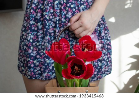 Young woman holding a bag with red tulips. Environmentally friendly present to a woman. Spring vibes. The way to give a bouquet of flowers.