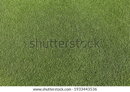 Artificial green grass, football field surface, top view. Empty space, design element. Royalty-Free Stock Photo #1933443536