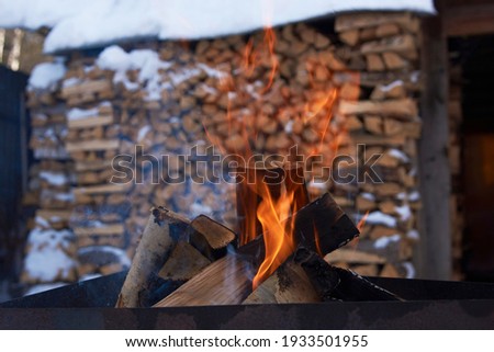Burning firewood with stacked firewood on background, close-up. Bonfire burning with orange flame