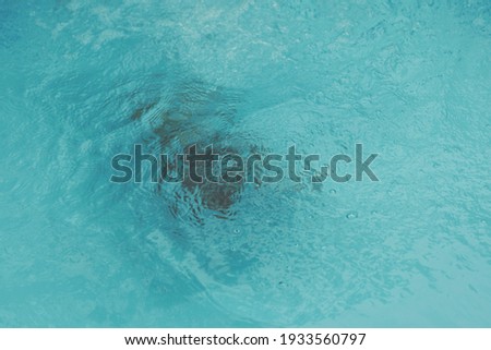 Abstract photo lifestyle, nature background. Unrecognizable person body deep under water, look at surface. Mystery mood. Concept of weightless, uncertain future, drown in obscurity, childhood issues