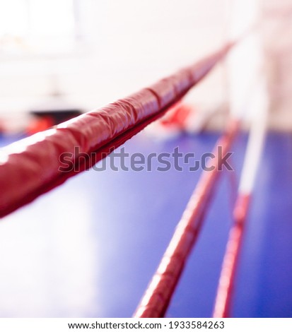 boxing ring ropes close-up. sport concept  