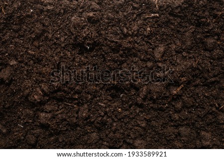 Black land for plant background. Top view. 