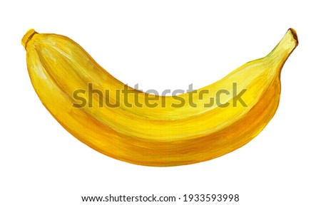 Raster drawing of a banana, hand drawn with gouache paints, yellow ripe banana in a peel. Realistic drawing of a whole banana isolated on a white background.