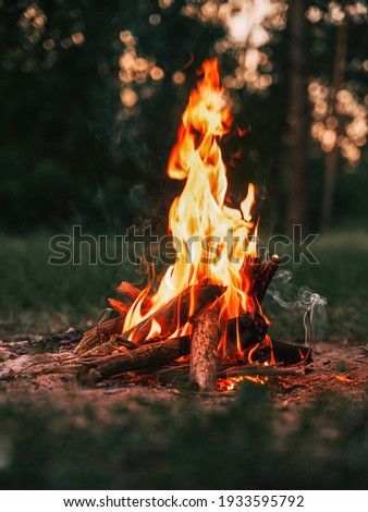 Beautiful campfire in the evening at the forest. Fire burning in dusk at campsite near a river in beautiful nature with evening sky at background Royalty-Free Stock Photo #1933595792