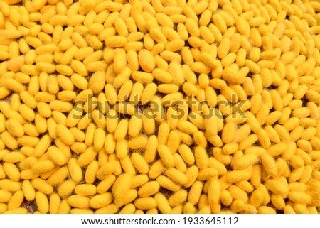TheThai silk of golden yellow