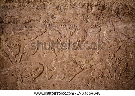 Egyptian hieroglyphs on the wall with fish