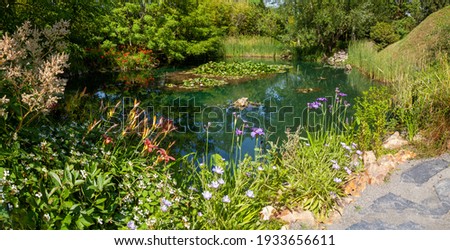 Panorama on a wetland in a botanical garden - natural ecosystem for the preservation of biodiversity  Royalty-Free Stock Photo #1933656611