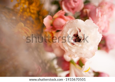 Bright spring flowers. The prism effect. Tulips, peony roses,  silver acacia, mimosa, daffodil, gypsophila. Selective focus. Bright background for your desktop.