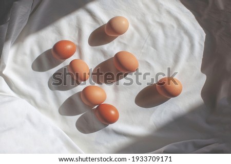 Chicken eggs on a white background. Easter preparation. 