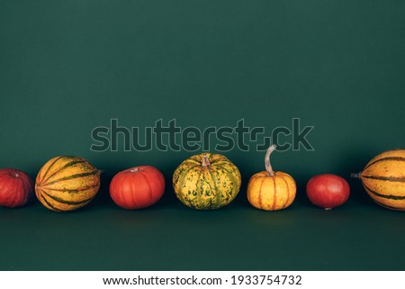 Different ripe small pumpkins in a row over green background. Seasonal autumn vegetable. 