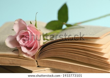 Closeup of Open Book and Pink Rose on Wooden Table