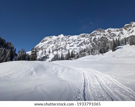 SKIMO - Ski Mountaineering, Ski tourr. Pure winter landscape with snowy trees with the ascent trail and blue sky. Swiss