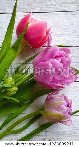 Bouquet of tulips on a wooden surface. Close-up. Spring