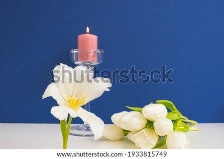one beautiful blossoming tulip in the foreground, bouquet and burning candle, against blue background