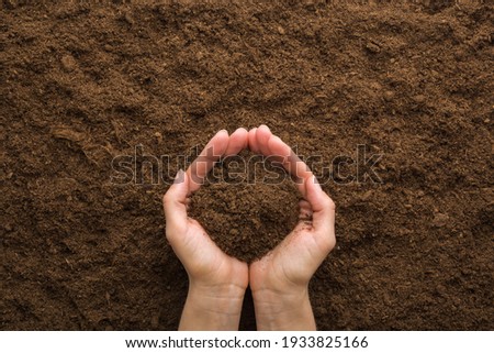 Young adult woman palms holding pile of dark brown dry soil. Care about environment or agriculture. Closeup. Point of view shot. Royalty-Free Stock Photo #1933825166