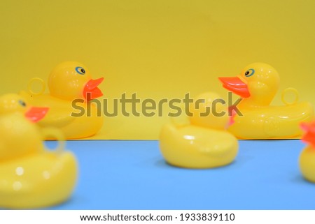Selective Focus of A Set of Duck Toys Isolated With Yellow and Blue Background. 